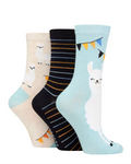 Load image into Gallery viewer, LAZY PANDA Ladies 3PK Bamboo Novelty Socks