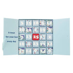 Load image into Gallery viewer, SOCKSHOP 25 Day Christmas Bamboo Sock Advent Calendar - Men's