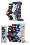 Load image into Gallery viewer, WILDFEET 7 Days of the Week Christmas Gift Box - Womens 4-8
