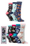 Load image into Gallery viewer, WILDFEET 7 Days of the Week Christmas Gift Box - Womens 4-8