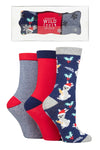 Load image into Gallery viewer, WILDFEET 3Pk Christmas Gift Boxed Novelty Cotton Socks- Womens 4-8