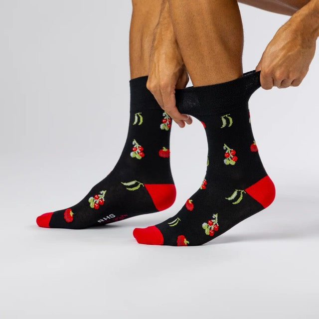GENTLE GRIP 3Pk RHS Crew Socks - Mens