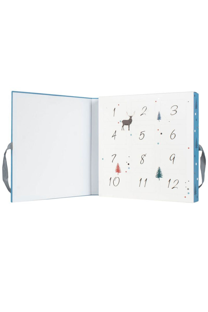 WILDFEET 12 Days of Sock-mas Advent Calendar of Socks - Men's